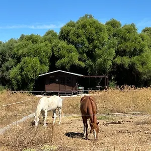 Camping Rustica En Un Rancho Con Caballos, Prado Del Rey, Andalucia, Prado Del Rey